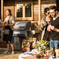 Napoleon Barbecue Charbon Avec Couvercle Napoléon Pro 605 -Weber Soldes barbecue charbon napoleon pro 605 13