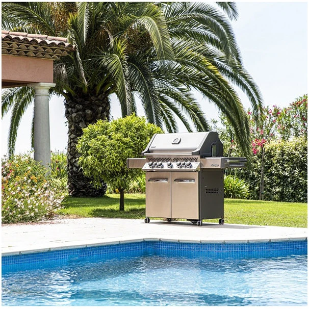 Napoleon Barbecue Gaz Napoléon Prestige 665 SIBPSS 5 Brûleurs + 1 Latéral + 1 Arrière 1 Napoleon Barbecue Gaz Napoléon Prestige 665 SIBPSS 5 Brûleurs + 1 Latéral + 1 Arrière