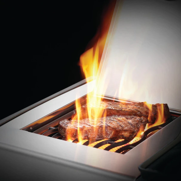 Napoleon Barbecue Gaz Napoléon Rogue SE 625 SIBPSS 5 Brûleurs + 1 Latéral + 1 Arrière 4 Napoleon Barbecue Gaz Napoléon Rogue SE 625 SIBPSS 5 Brûleurs + 1 Latéral + 1 Arrière – Image 4