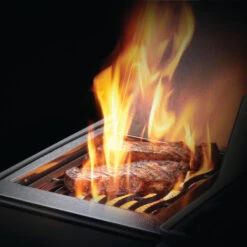 Napoleon Barbecue Gaz Napoléon Rogue XT 425 SIBPK 3 Brûleurs + 1 Latéral -Weber Soldes bbq gaz napoleon rogue rxt425 sibpk 9