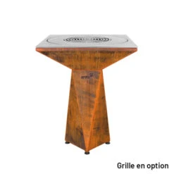 Braséro Plancha Artiss G1 Basic Corten 74 Cm Plancha Plaque Acier -Weber Soldes brasero artiss g1 basic corten plancha acier carbone 2