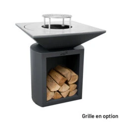 Braséro Plancha Artiss G2 Graphite 90 Cm Plaque Acier -Weber Soldes brasero artiss g2 graphite plancha acier carbone 3