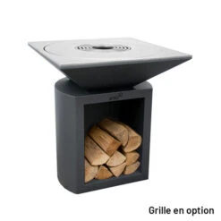 Braséro Plancha Artiss G2 Graphite 90 Cm Plaque Inox -Weber Soldes brasero artiss g2 graphite plancha acier inoxydable 4