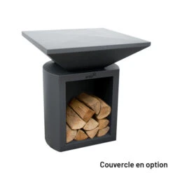 Braséro Plancha Artiss G2 Graphite 90 Cm Plaque Inox -Weber Soldes brasero artiss g2 graphite plancha acier inoxydable 8