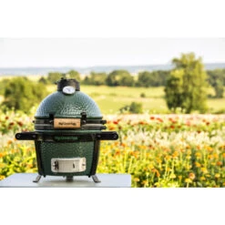 Kamado Big Green Egg Mini Øint 25cm à Poser Ou Encastrer -Weber Soldes kamado big green egg mini ceramique o25 8