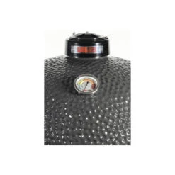 Kamado Grill Guru Original XL Øint 56cm Sur Chariot -Weber Soldes kamado grill guru original xl 5