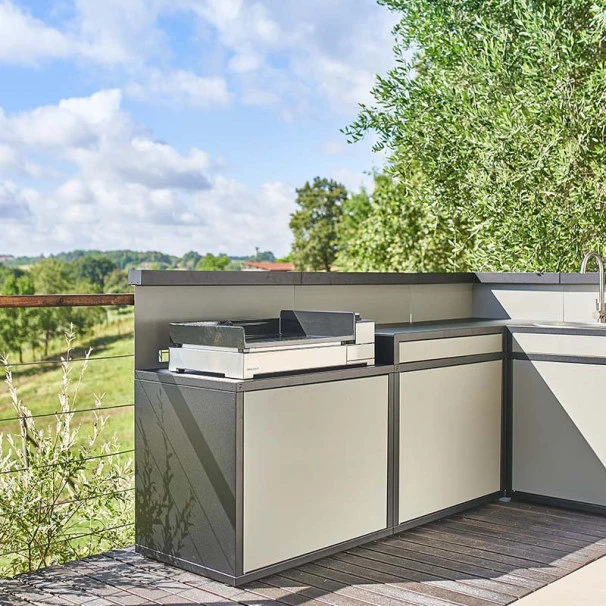 Plancha Gaz Forge Adour Premium G60 Inox 2 Brûleurs 60 X 40 1 Plancha Gaz Forge Adour Premium G60 Inox 2 Brûleurs 60 X 40